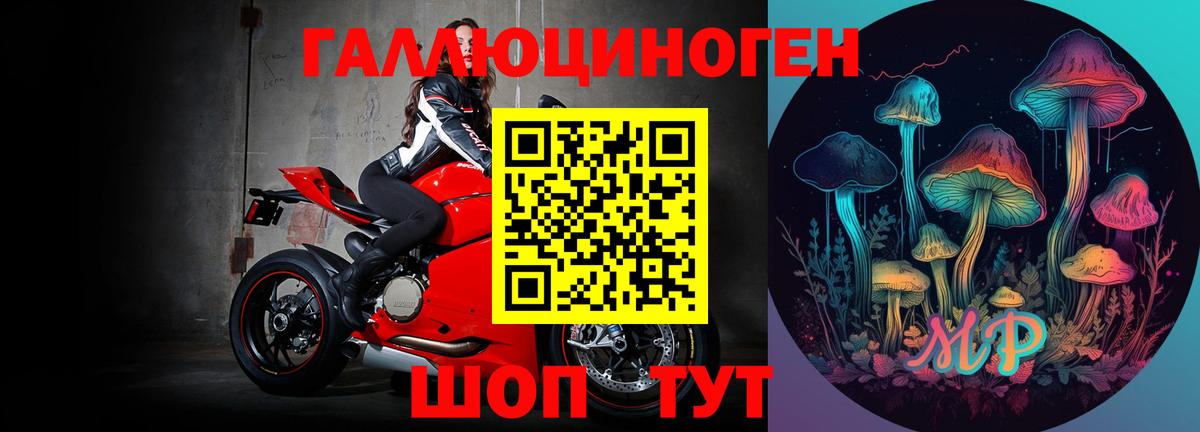 Галлюциногенные грибы Psilocybine cubensis  Вход с VPN  Усинск 